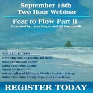 From Fear to Flow II