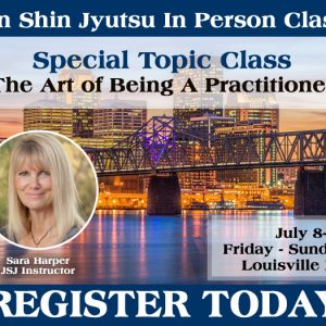 July 8-10 Louisville KY Special Topic Class - The Art of Being A Practitioner