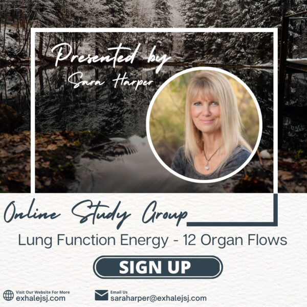 Lung Function Energy - Online Study Group - The 12 Organ Flows (January 2023)