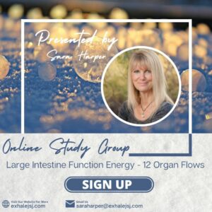 Large Intestine Function Energy - 12 Organ Flows