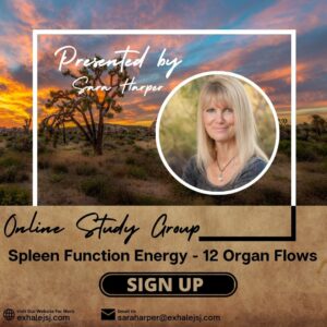Spleen Function Energy
