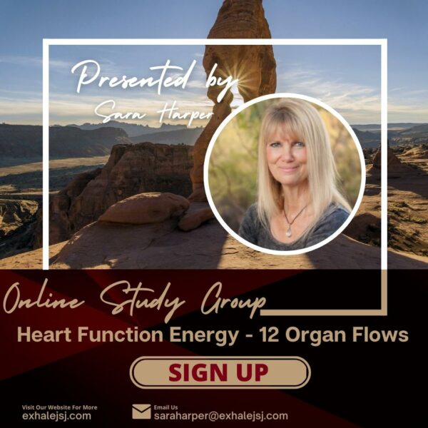 Heart Function Energy - Online Study Group - The 12 Organ Flows