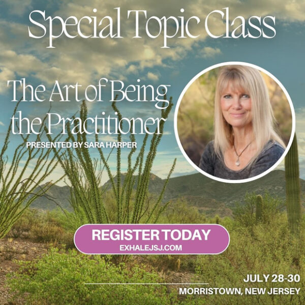 Special Topic Class - The Art of Being a Practitioner