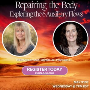 Repairing the Body – Exploring the 6 Auxiliary Flows with Sara Harper & Jill Pasquinelli Study Group