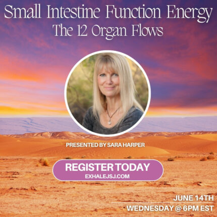 Small Intestine Function Energy - Online Study Group - The 12 Organ Flows - June 14th (2023)
