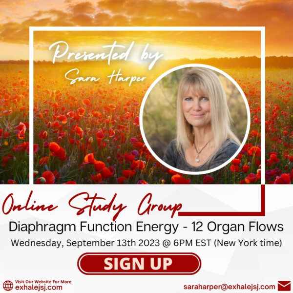 Diaphragm Function Energy
