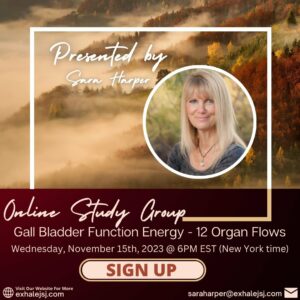 Gall Bladder Function Energy