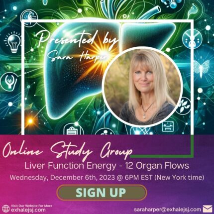 Liver Function Energy