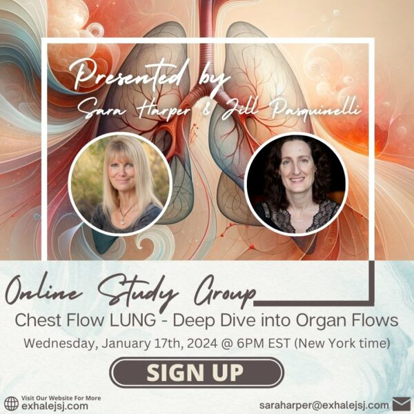 Deep Dive Into Organ Flows - Chest Flow LUNG