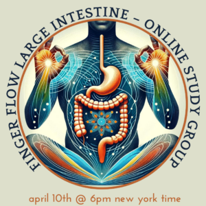 Finger Flow Large Intestine – Online Study Group – Deep Dive Into Organ Flows – April 10th (2024)