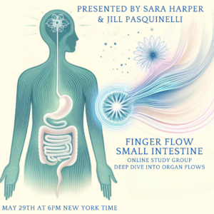 Finger Flow Small Intestine - Online Study Group - Deep Dive Into Organ Flows - May 29th